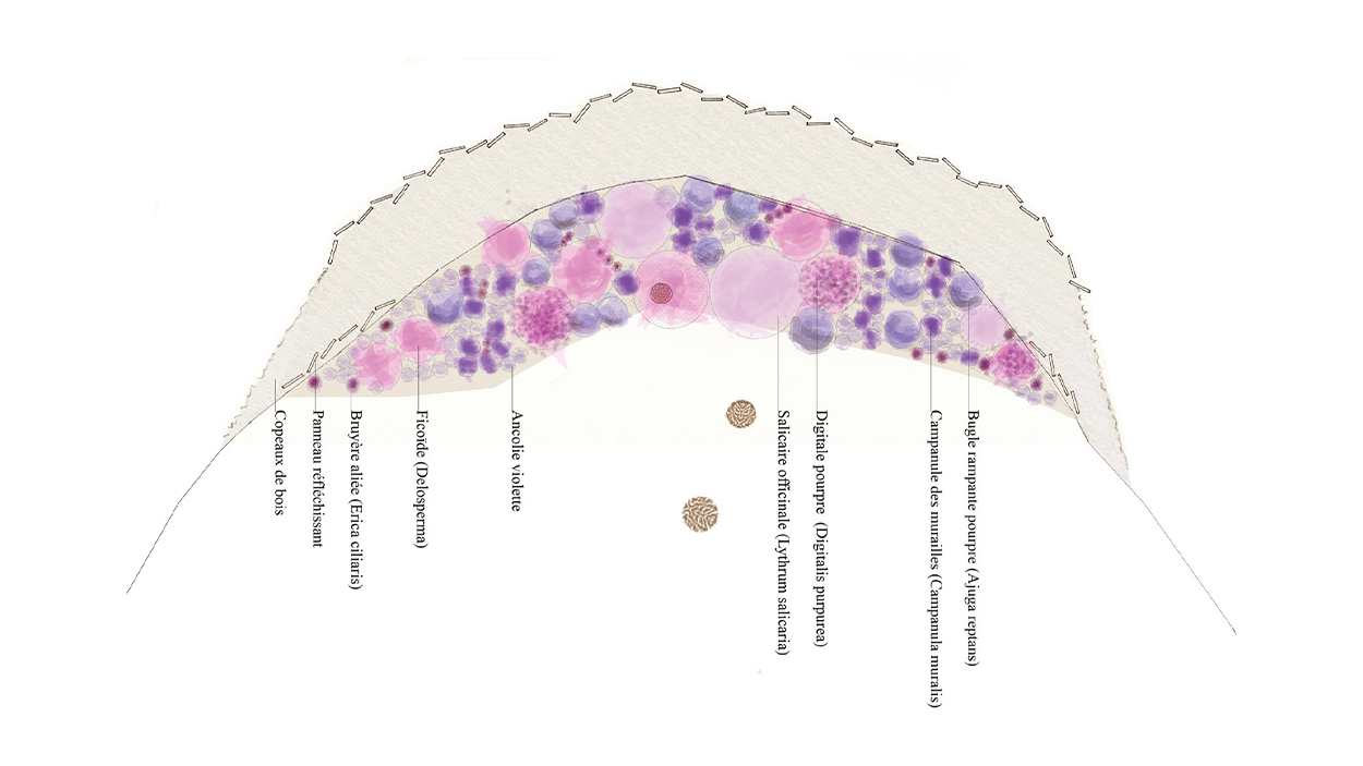 Y03_Locuon_Lieux Mouvants (2)